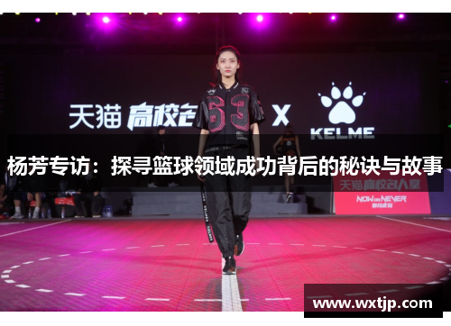 杨芳专访：探寻篮球领域成功背后的秘诀与故事