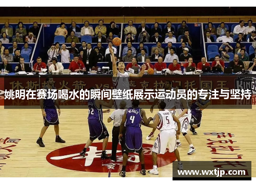 姚明在赛场喝水的瞬间壁纸展示运动员的专注与坚持