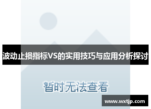 波动止损指标VS的实用技巧与应用分析探讨